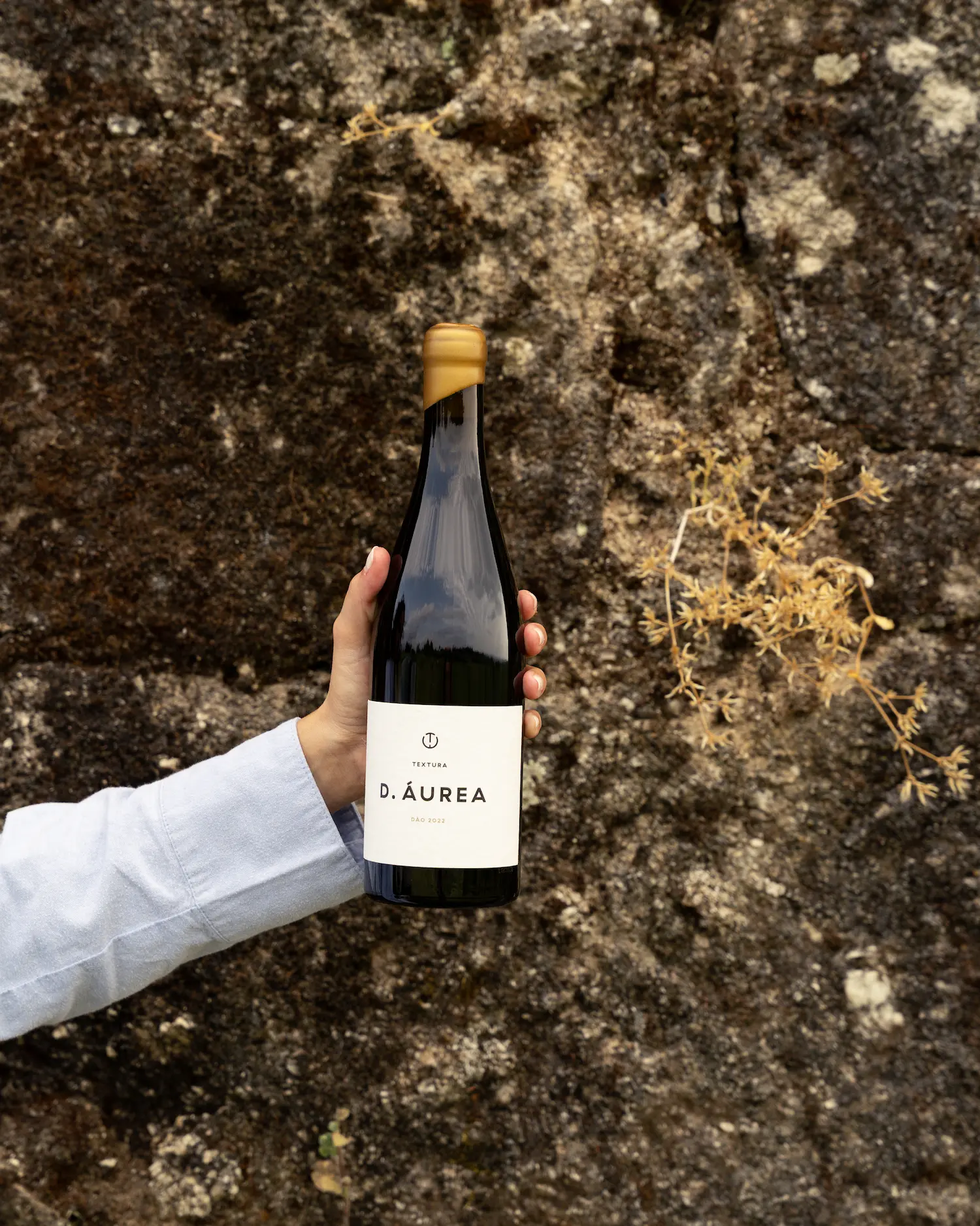D.Aurea Textura Wines