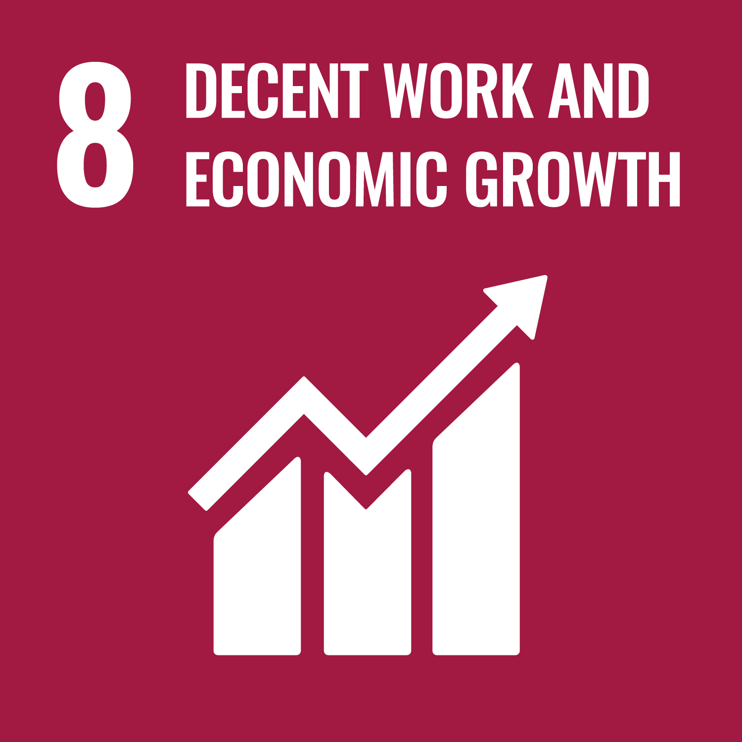 Objetivo: Promote inclusive and sustainable economic growth, full and productive employment, and decent work for all