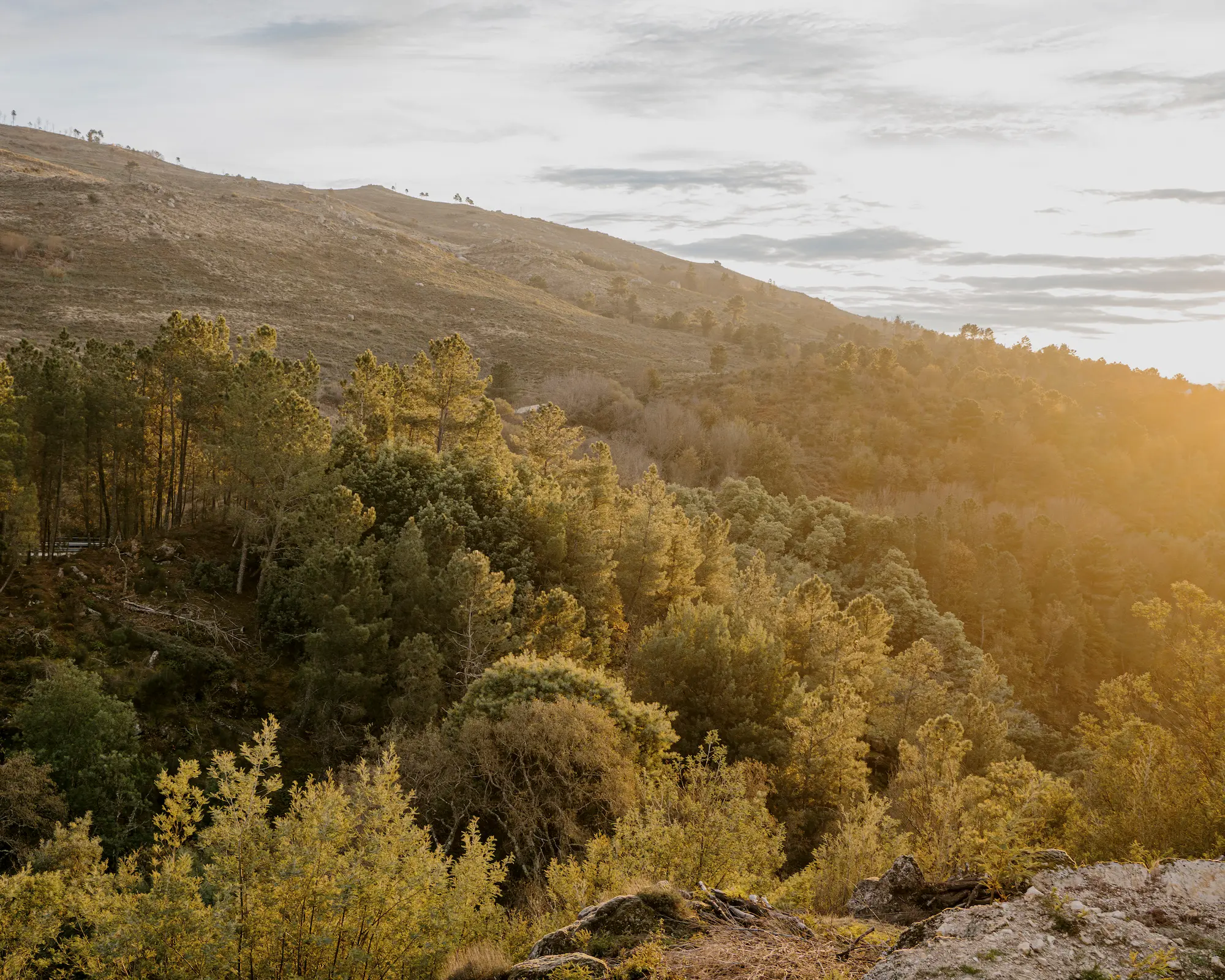 Serra da Estrela